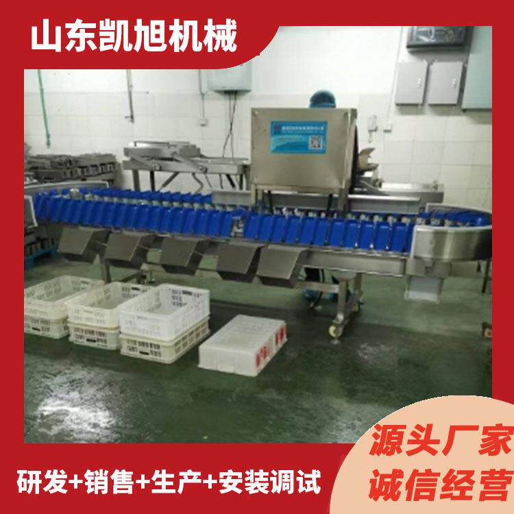 白条鸡全自动称重分拣机 白条鹅重量筛选分级秤设备 速分拣机