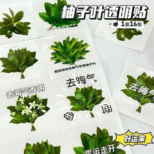 柚子叶去晦气透明贴纸 创意开运装饰贴纸手机壳水杯diy贴创意开运