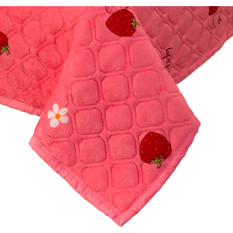 法兰绒盖毯加绒毛毯双面加厚单人床盖牛奶绒珊瑚毯冬季款毛绒床单