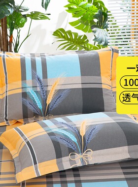 纯棉夏季枕套一对装单人加厚全棉枕头套48X74cm单个成人枕芯套2只