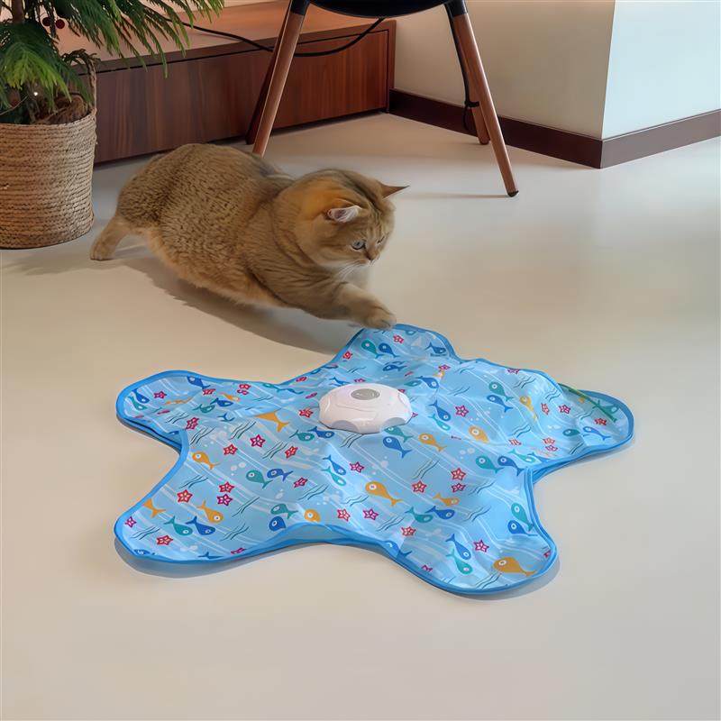 海星造型自动逗猫神器玩具自嗨解闷捕捉罩小猫电动逗猫棒玩具充电,宠物/宠物食品及用品,宠物智能玩具,淘宝优惠券,粉丝福利购,淘宝优惠卷