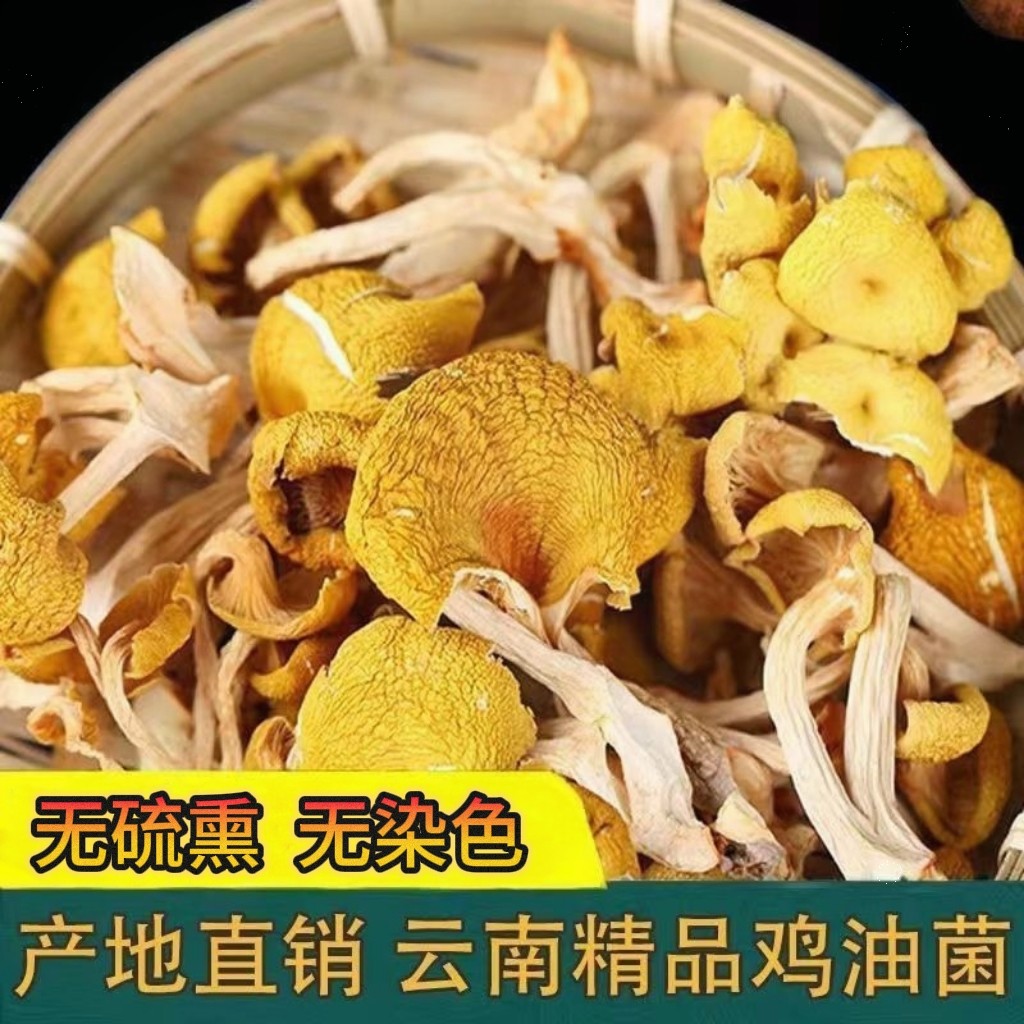 鸡油菌干货云南菌菇黄丝菌特产黄金蘑菇煲汤榆黄蘑香菇批发精包装