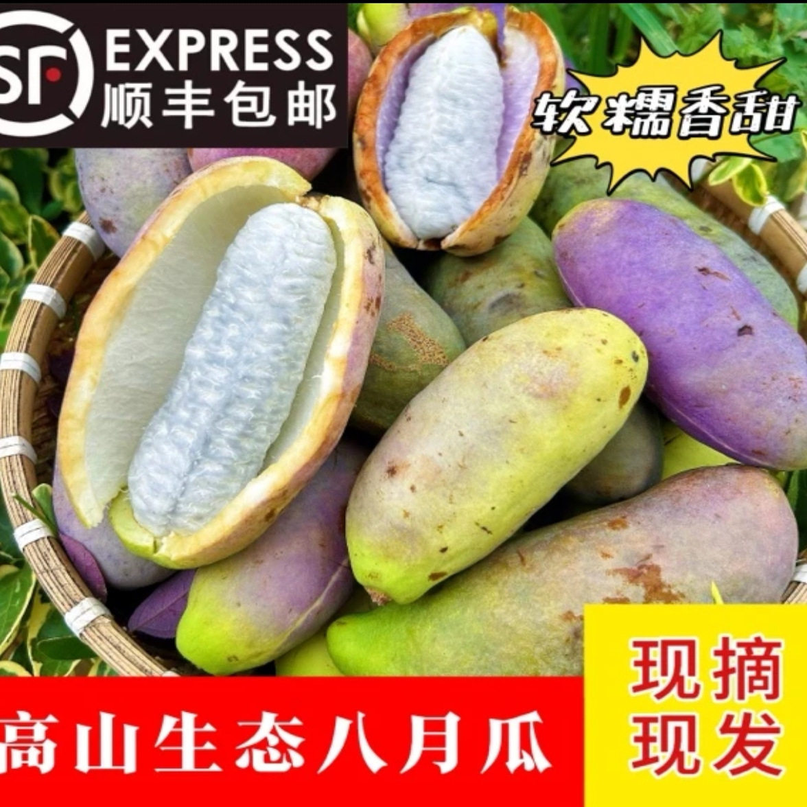 八月瓜新鲜水果八月炸5斤装当季现摘深山野果香瓜应季麻藤包甜瓜