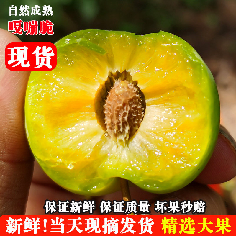 贵州李子新鲜水果冰脆李脆甜现摘当季应季空心青脆李四川脱骨李