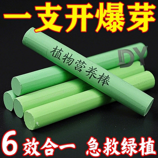 盆栽花卉抗菌生根綠葉綠植植物肥料有機(jī)肥 新手營(yíng)養(yǎng)棒通用養(yǎng)花新款