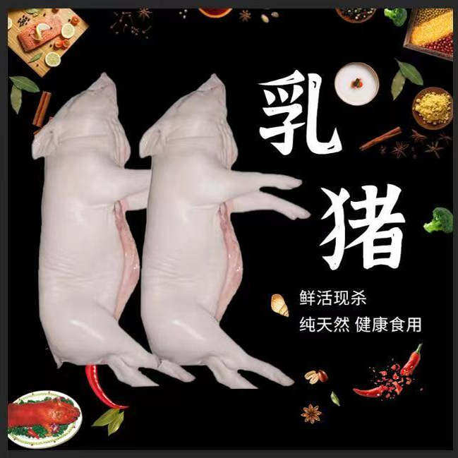 乳猪整只脆皮拍现杀食用生鲜冷冻小耳朵3到小香猪烧烤生猪肉猪蹄,水产肉类/新鲜蔬果/熟食,生猪肉,淘宝优惠券,粉丝福利购,淘宝优惠卷