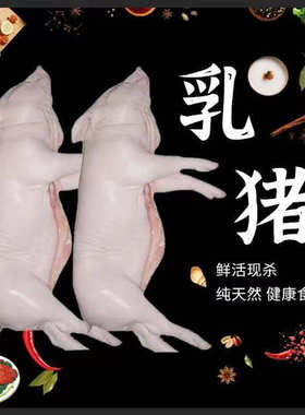 新鲜宰杀新鲜脆皮乳猪送礼年夜饭