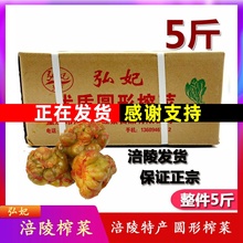 新鲜涪陵特产弘妃优质圆形榨菜箱装5斤全形榨菜头腌制咸菜下饭菜