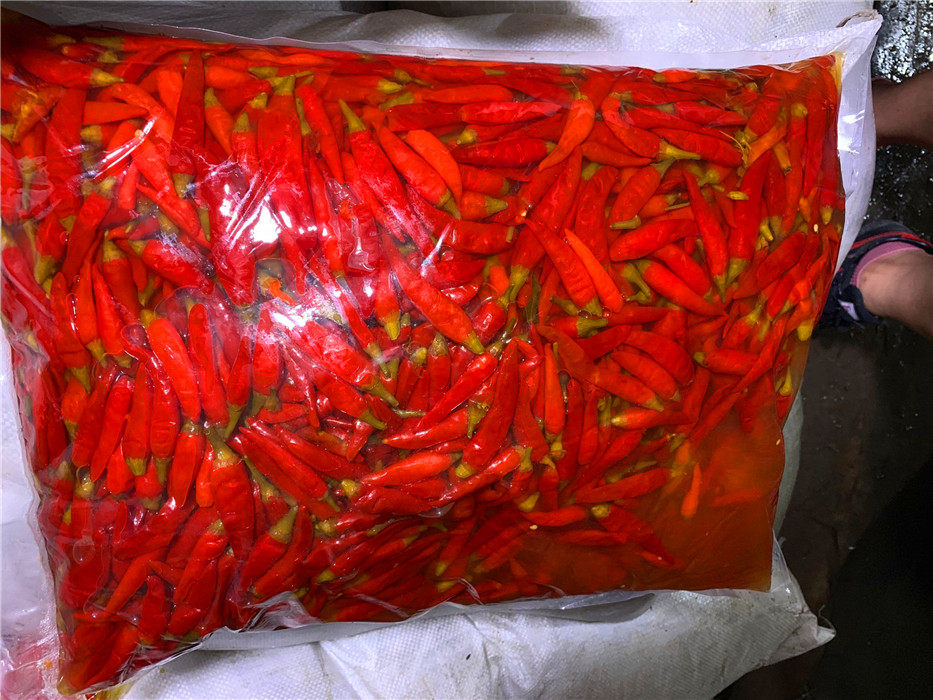 新鲜重庆特产四川正宗泡椒红小米辣农家辣椒泡酸辣椒泡朝天椒