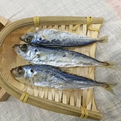 漳浦特产即食巴浪鱼干熟小海淡