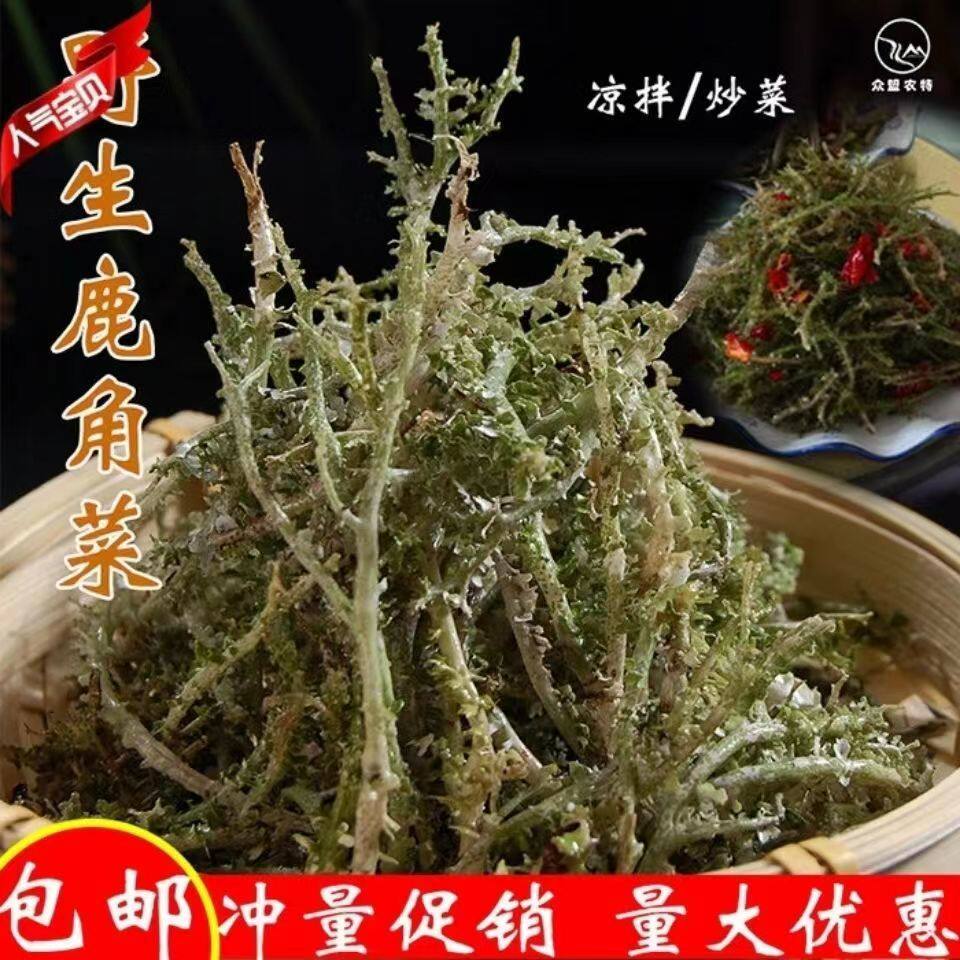 甘南特产高原鹿角菜正宗凉拌石花菜山野菜裙带菜干 干货非青海