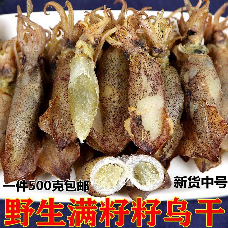 中号籽乌干新鲜海兔子笔管鱼满籽500g包邮带籽乌贼海鲜干