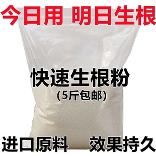 植物强力生根粉 果树蔬菜通用花草快速生根剂果蔬发根壮根素正品