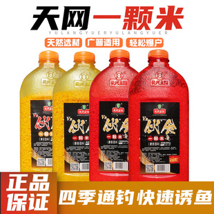 天网伙食一颗米射香红虫打窝酒米窝料黑坑野钓鲫鲤草鱼饵饵料钓饵