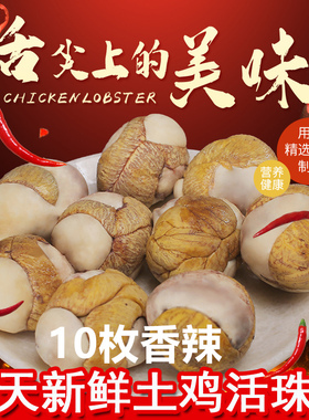 壳逸40枚香辣麻辣13天新鲜活珠子熟毛旦开袋即食香辣辣味鸡仔胎