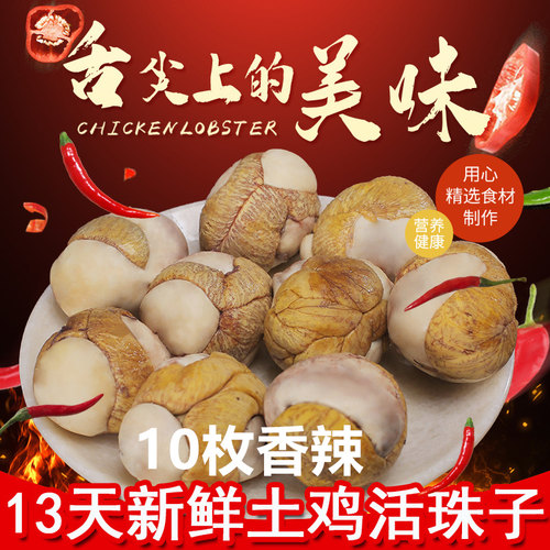 10万+人付款40枚活珠子壳逸