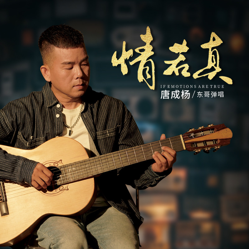 正版唐成杨cd发烧原声带1:1母盘母带直刻无损音质车载CD碟片