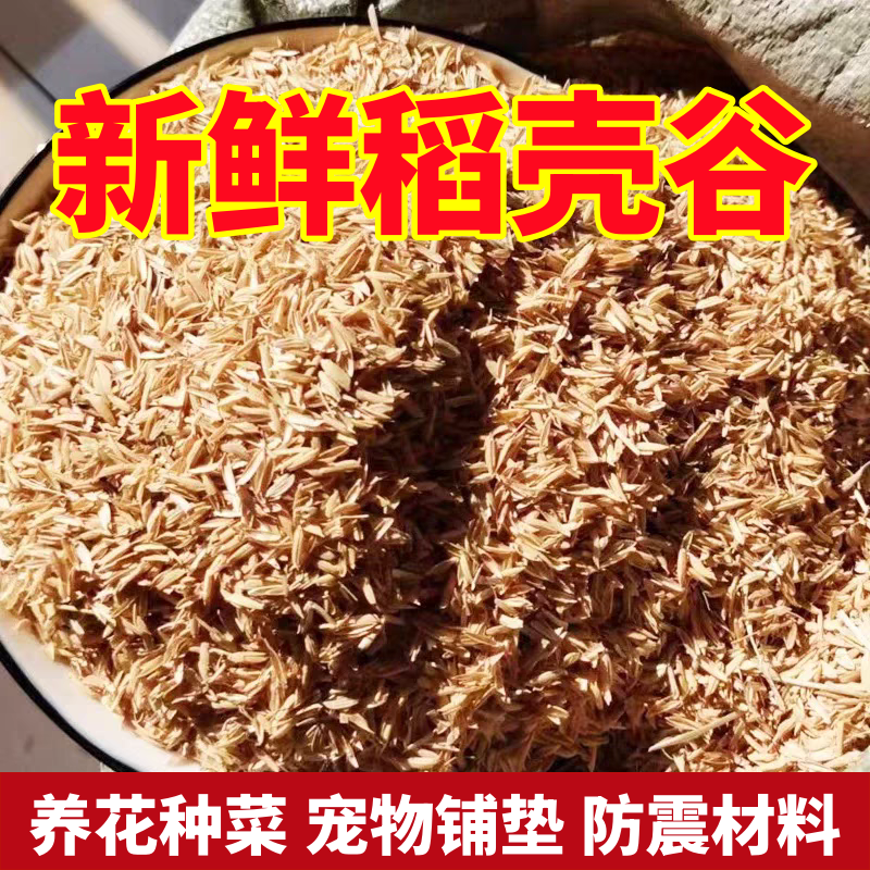 新鲜稻谷壳喂鸡宠物芦丁鸡垫料