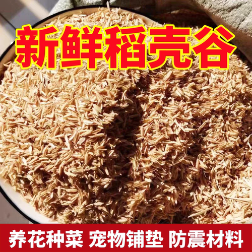 新鲜稻谷壳喂鸡宠物芦丁鸡垫料