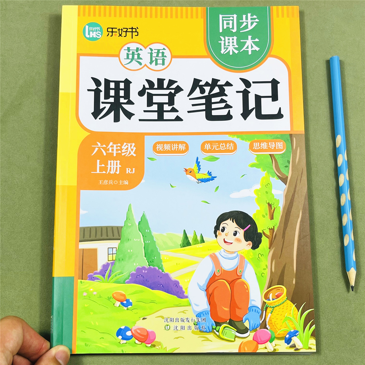 小学六年级上册课堂笔记