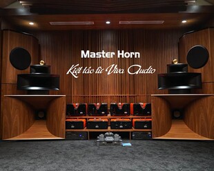 Horn Master 威浪 意大利 带后级落地音箱 VIVA 五路五单元