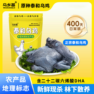 乌乡基正宗原种泰和乌鸡营养健康散养新鲜现杀400天老母鸡700g/只