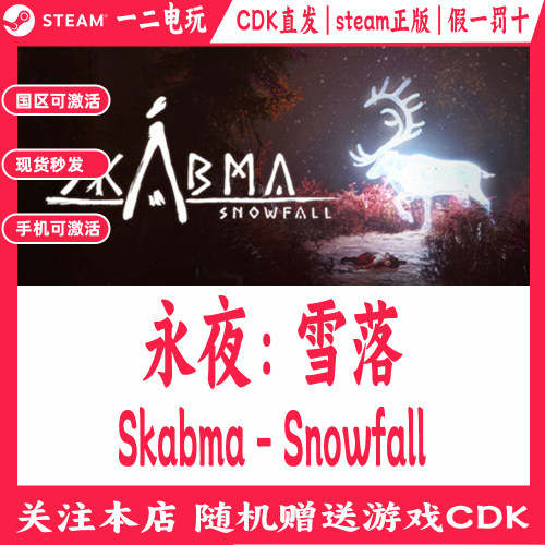 永夜：雪落国区Steam游戏Cdkey兑换码Skabma - Snowfall