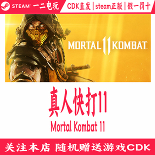 真人快打11正版Steam游戏CDKey直发正版激活码Mortal Kombat
