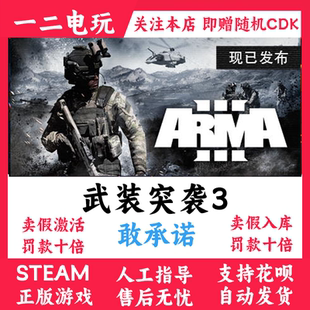 武装突袭3正版steam游戏激活码入库全球区CDK中文 Arma 3