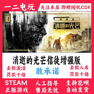 消逝的光芒信徒增强版Dying Light游戏steam激活码加强正版CDKey