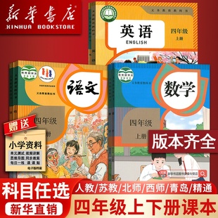 教材精通北师苏教版 部编版 小学使用4四年级上册全套课本四年级下册上册语文数学英语书人教版 外研译林青岛西师版 新华书店正版
