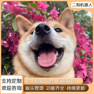 黄二狗群聊机器人wx群聊机器人二狗系统全新升级活跃群氛围恋爱