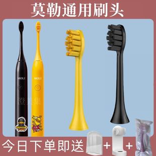 荷兰艾优apiyoo成人P7Y8皮卡丘SUP/MOLE莫勒小黄鸭儿童电动牙刷头
