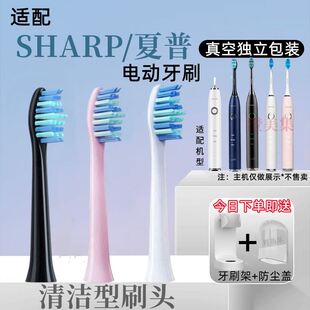 KS10C KS40C声波牙刷头替换头12支 KS50C 适配夏普电动牙刷头DO