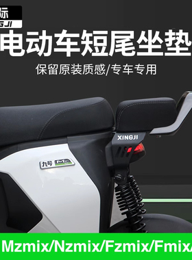 行际短尾架后座坐垫扶手靠背配件适用于九号Mzmix/Nzmix/Fzmix