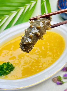 烹智小米辽参240g宴席中高端位上金汤小米烩鲜食辽参解冻加热即食