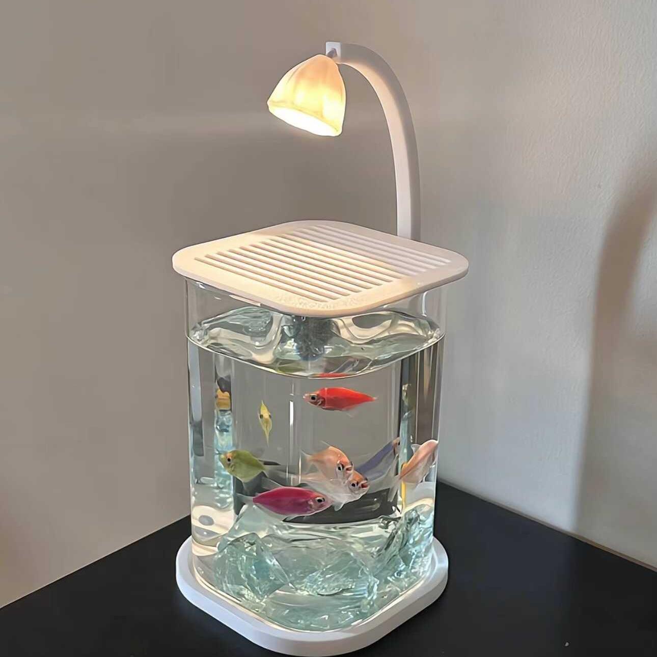 鱼缸小型客厅桌面造景摆件斗鱼专用高级感生态观赏全套超白玻璃缸