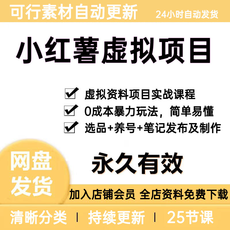 2026小红署虚拟资料项目实战平面广告设计