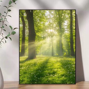 林间晨曦装饰画成品仿油画风景治愈系唯美意境绿色卧室客厅摆挂画
