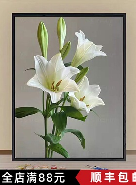 百合花卉成品装饰画风景高清喷印唯美治愈小众高级卧室客厅摆挂画