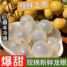 广西龙眼平南石夹新鲜大果石峡储良现摘现发鲜果顺丰包邮