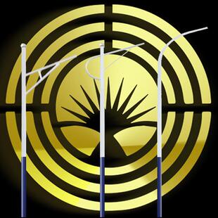 路灯杆地龙预埋件厂家直销路灯杆地笼市政道路照明灯施工