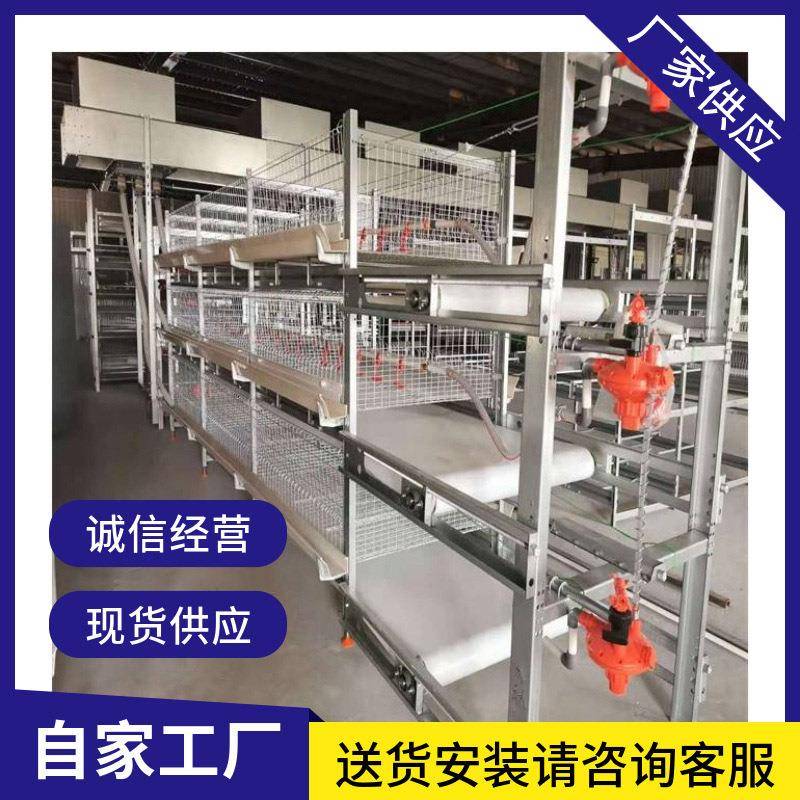 框架立式肉鸡笼层叠H型自动化半自动化养殖设备厂家生产