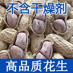 25年广东新水煮红皮花生 晒干蒜香原味农家盐咸干水煮天然白花生
