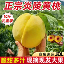 湖南正宗炎陵黄桃孕妇小孩新鲜水果现摘现发10斤礼盒装 顺丰 包邮