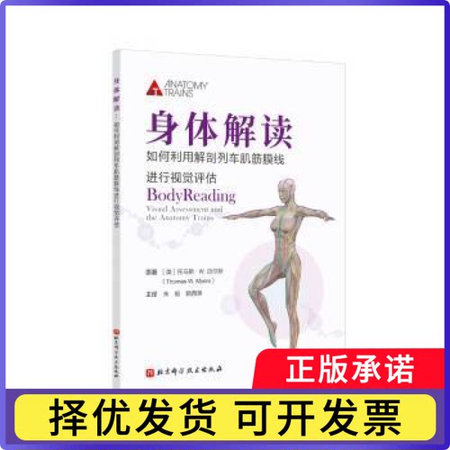 身体解读：如何利用解剖列车肌筋膜线进行视觉评估：visual assessment and the anatomy trains