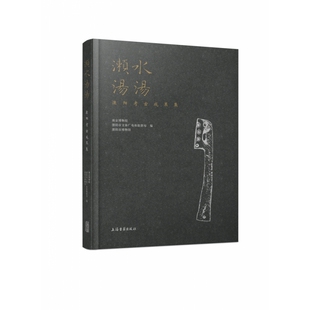 杂志 编9787573203090上海古籍书籍 报纸 历史 考古 濑水汤汤——溧阳考古成果集南京博物院 文物 溧市博馆
