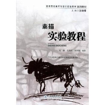 素描实验教程赵鑫，衣国庆，郑中凯编著9787566803009暨南大学出版社书籍\/杂志\/报纸//教材/教辅//考研（新）