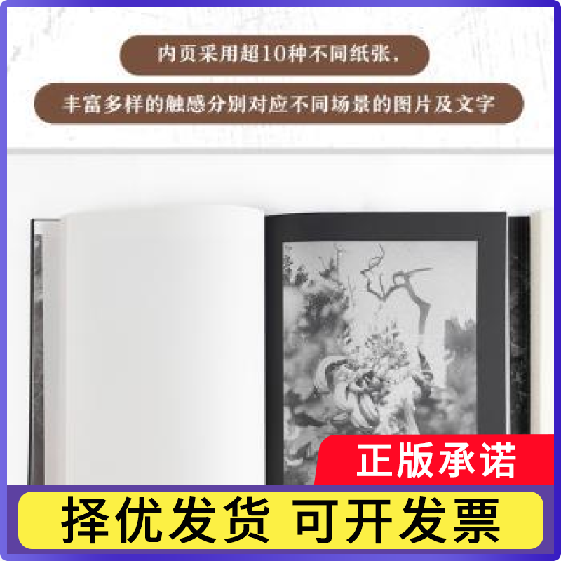 不朽的林泉周仰, 著9787115654502人民邮电出版社书籍\/杂志\/报纸/艺术/摄影艺术(新)