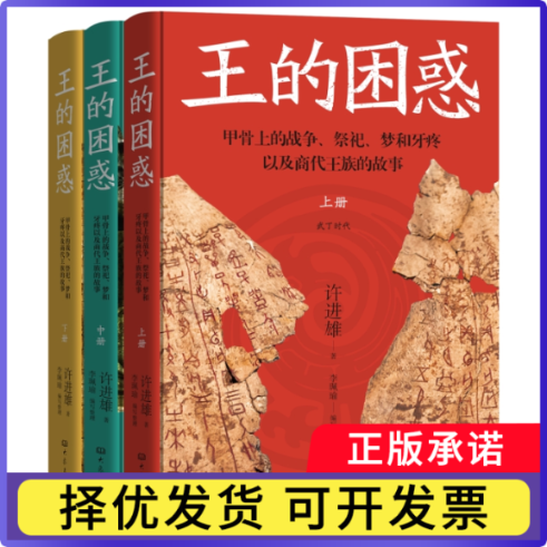 王的困惑:甲骨上的战争、祭祀、梦和牙疼以及商代王族的故事许进雄9787571130664大象